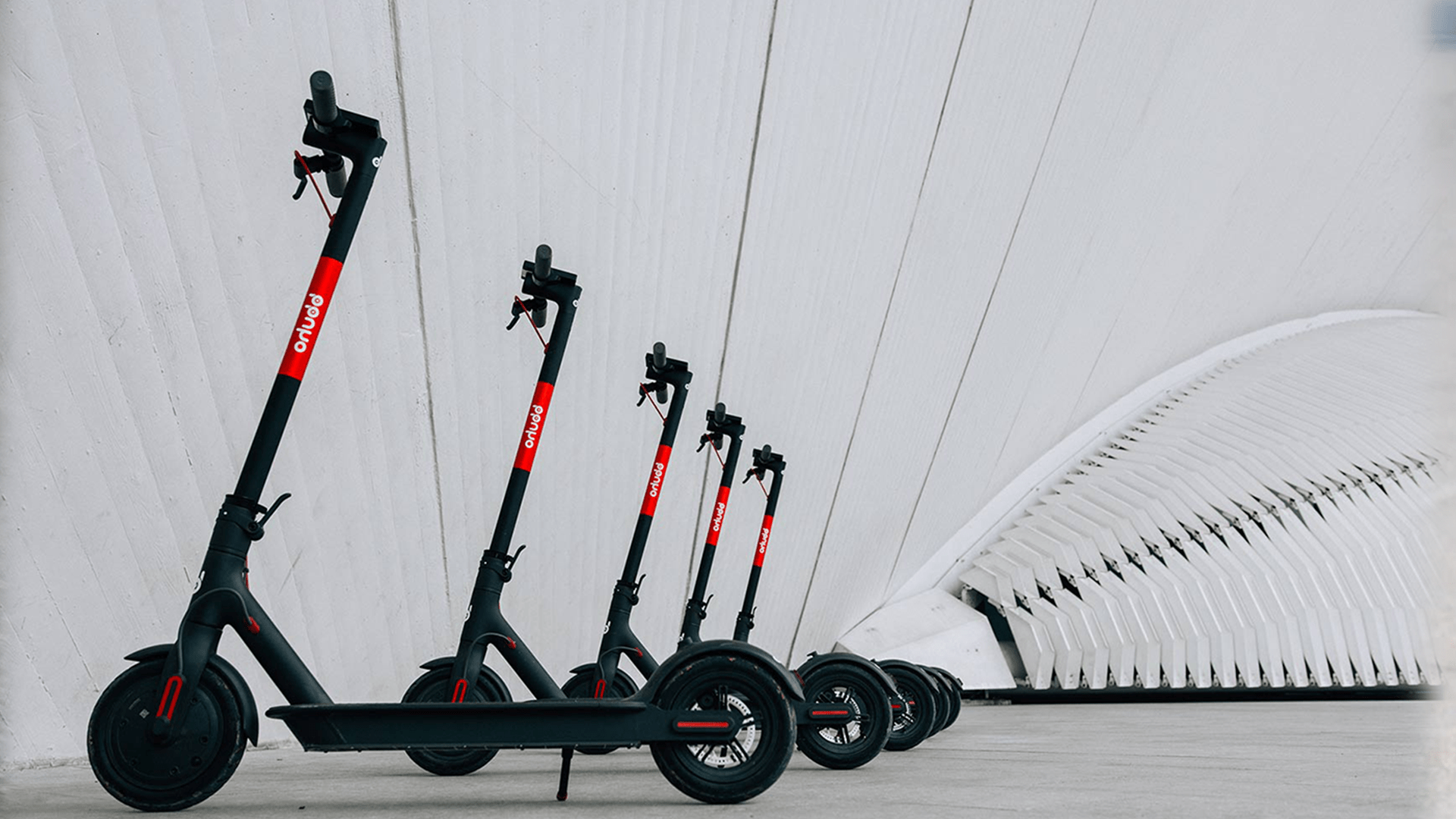 ¿Vas en patinete eléctrico? ¿Estás preparado para la nueva normativa de la DGT ? 4